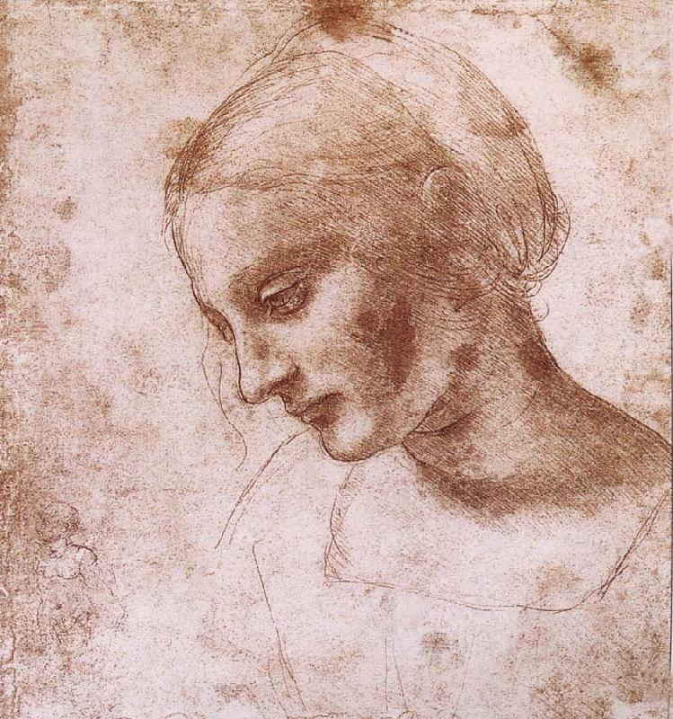 LEONARDO da Vinci Study fur a women head china oil painting image